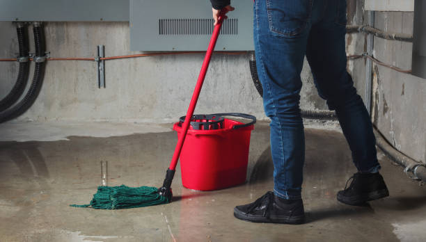 Best Mold removal after water damage  in Shannon, MS